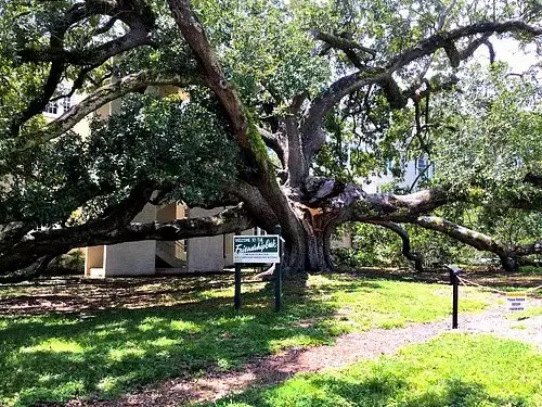 Diamondhead, Mississippi Gulf Coast