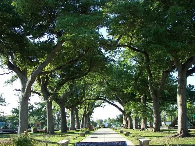 D'Iberville, Mississippi Gulf Coast